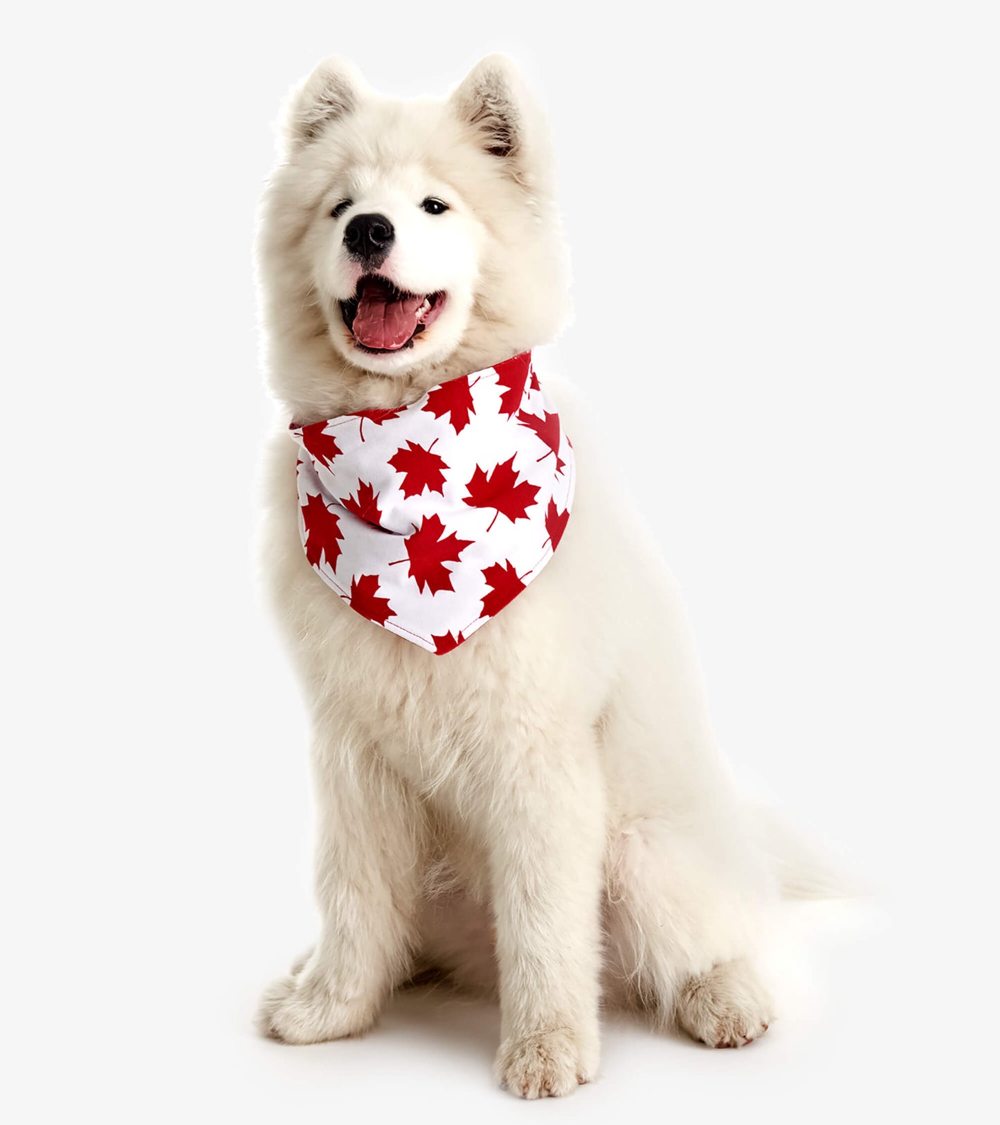 Dog Bandana - Red Maple Leaf