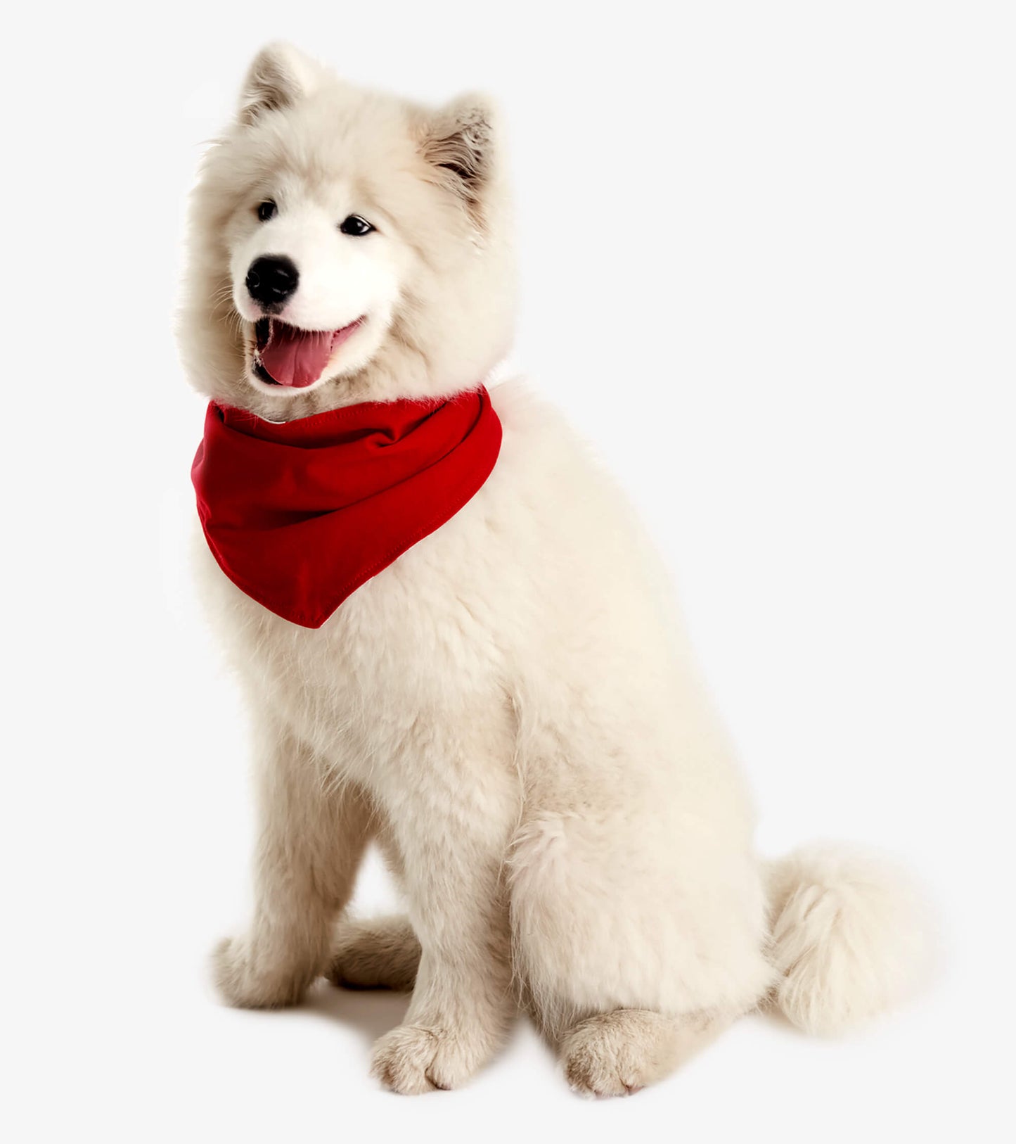 Dog Bandana - Red Maple Leaf