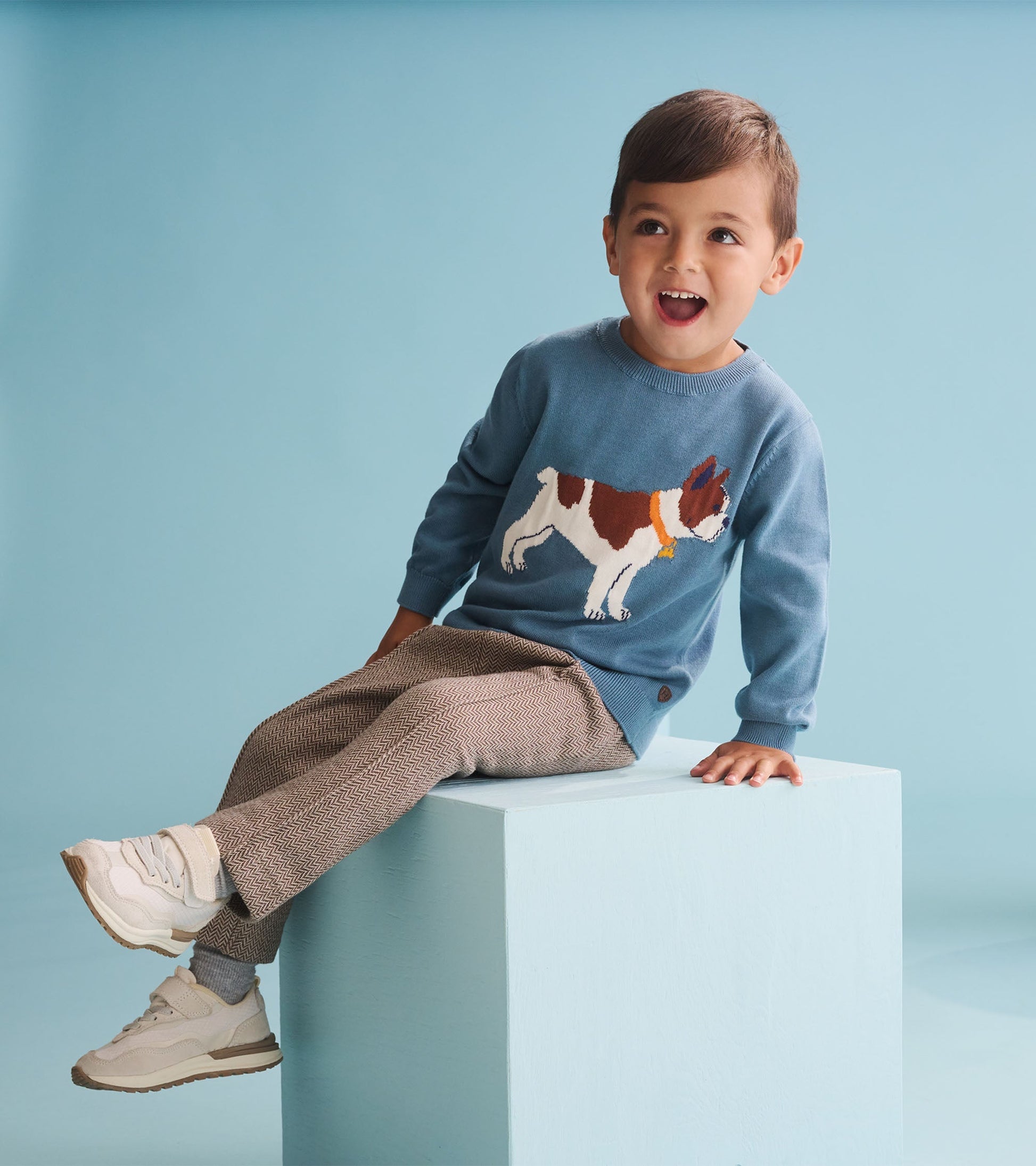 Blue crew neck sweater featuring a French bulldog design, worn by a smiling boy sitting on a light blue block.