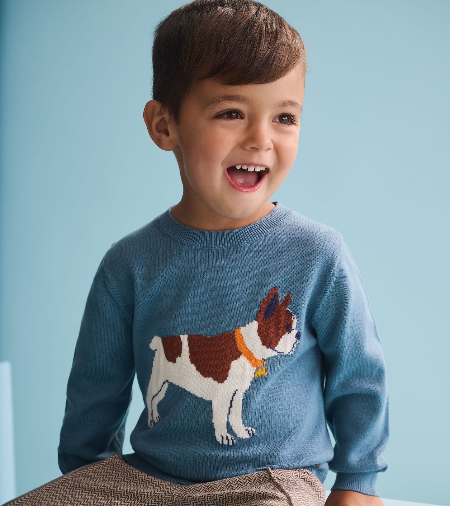 Blue crew neck sweater featuring a playful French Bulldog design, perfect for baby and toddler boys.