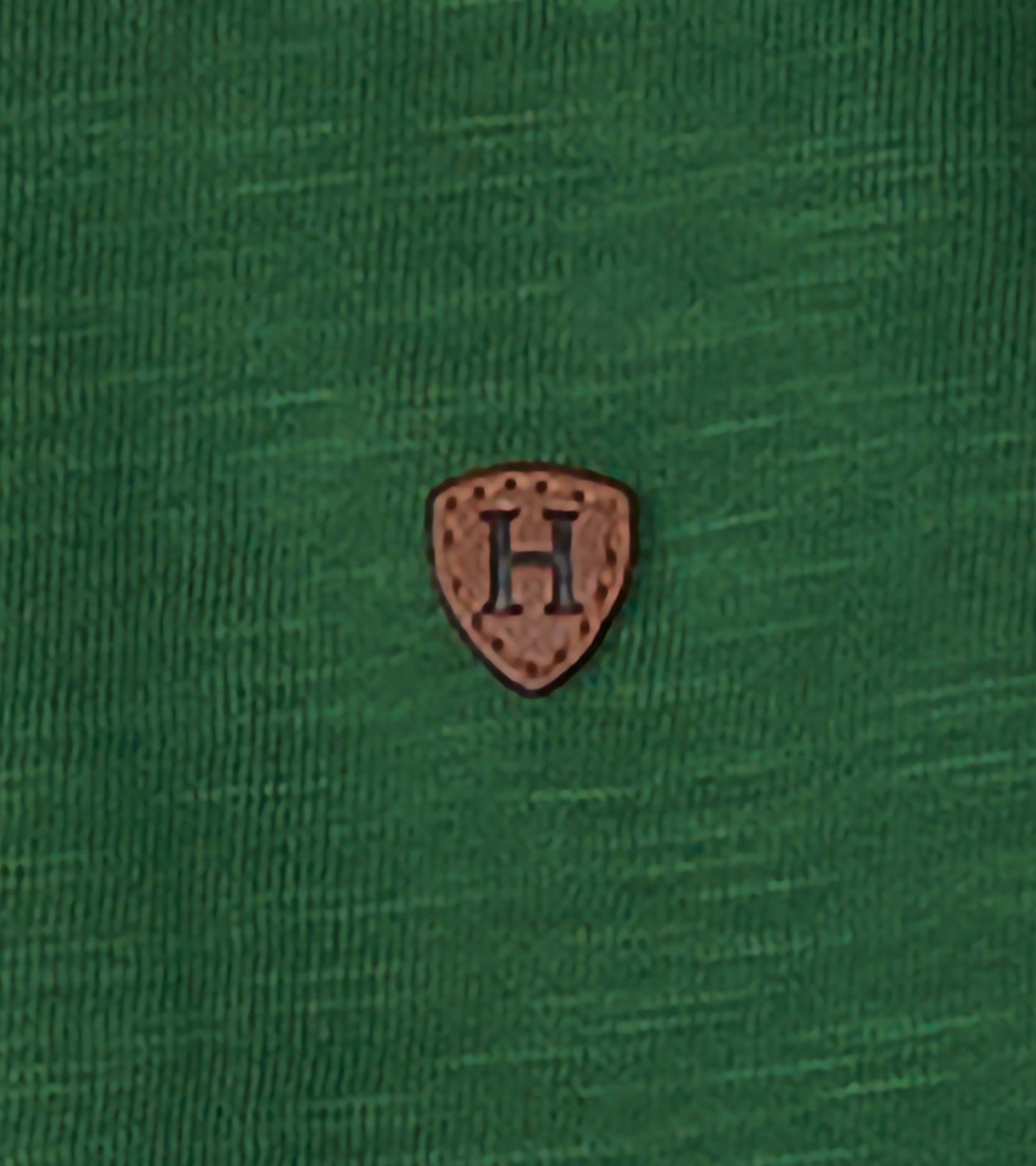 Green long sleeve polo shirt featuring a textured fabric and a small brown emblem on the chest.