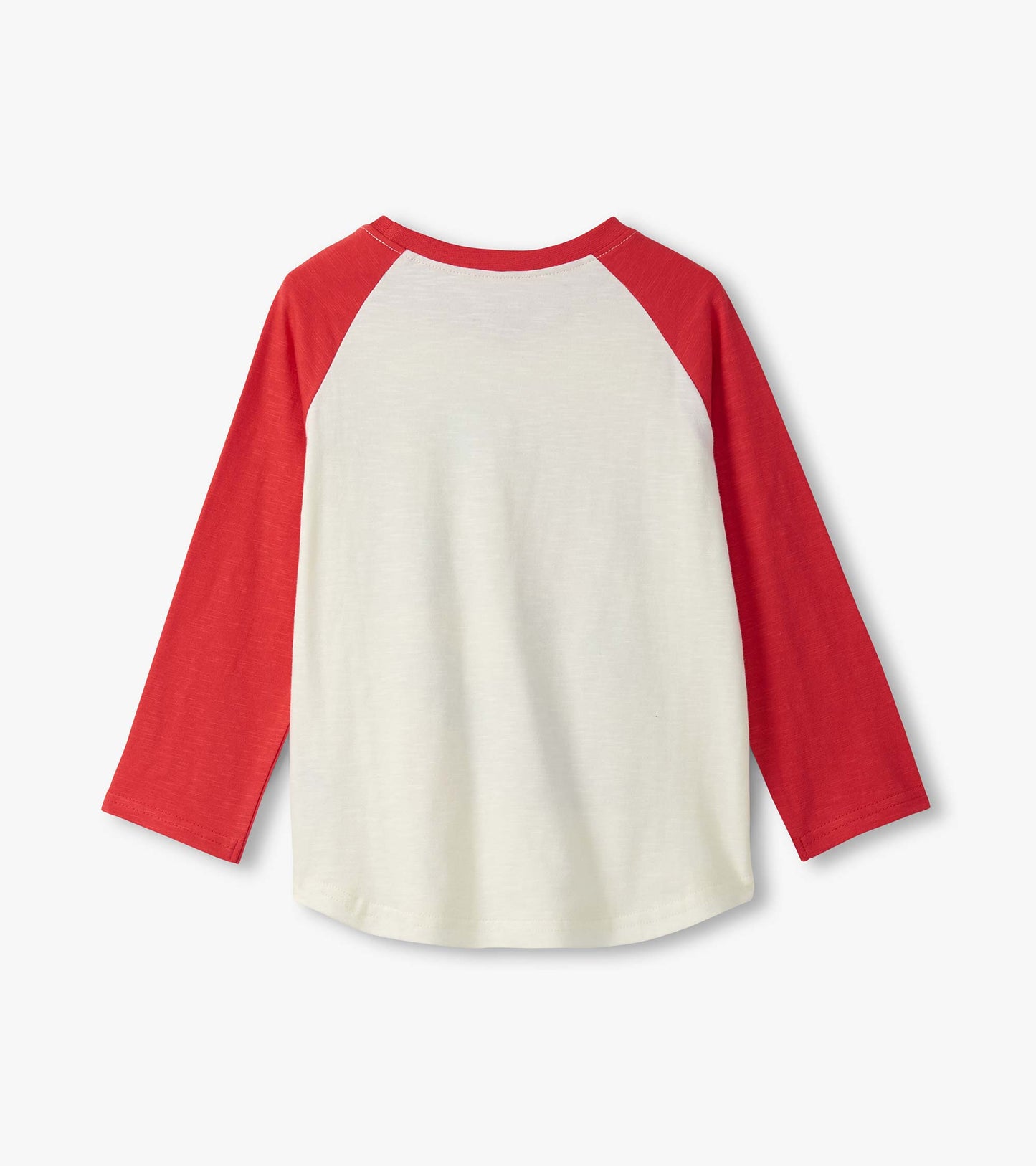 Boys Dinos Cubed Long Sleeve Raglan T-Shirt