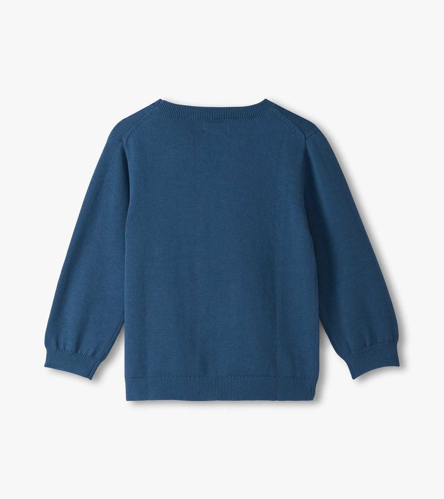 Baby & Toddler Boys Puppy Crew Neck Sweater