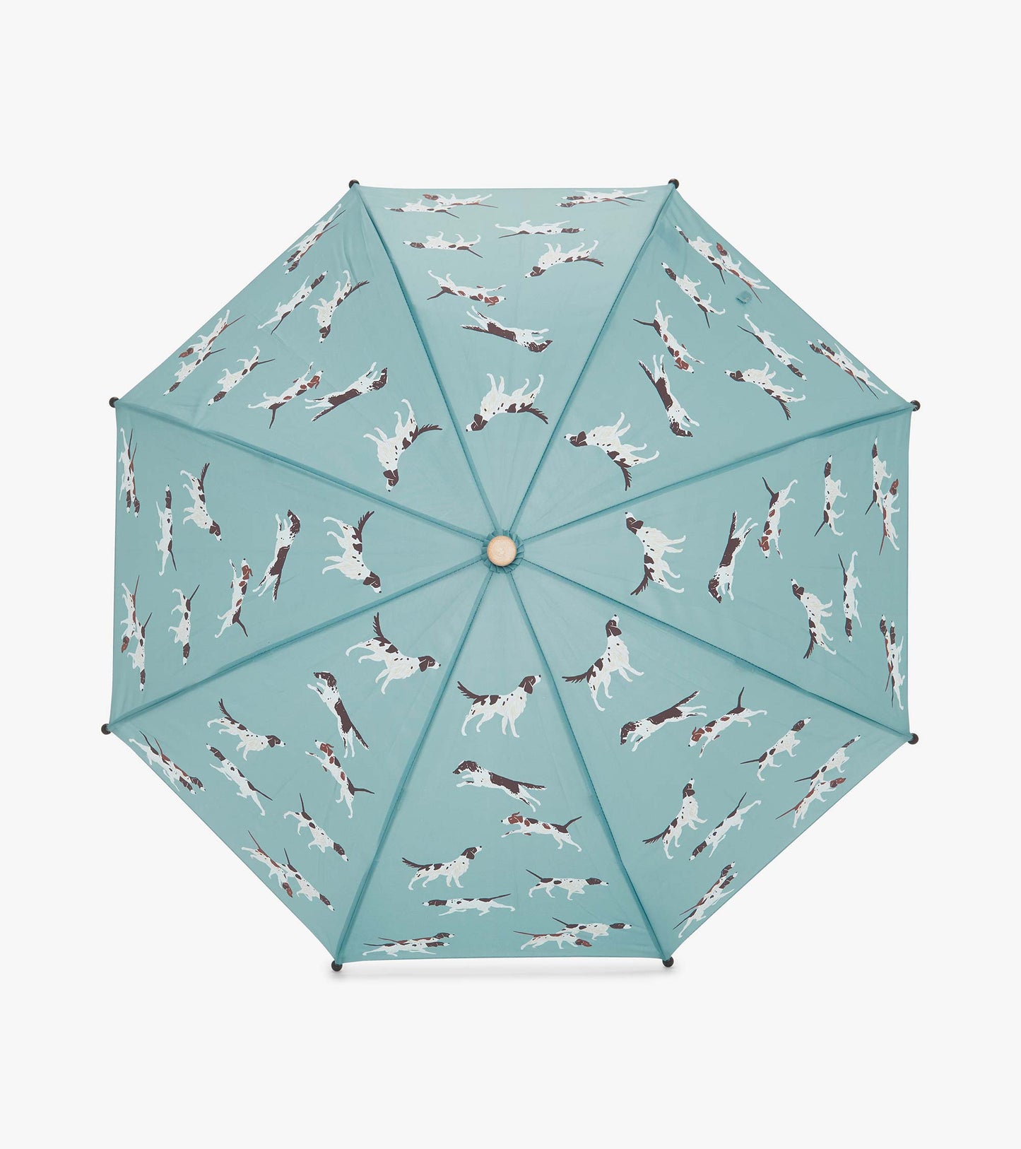 Teal umbrella featuring playful hunting dog patterns, designed for boys, with a sturdy structure and one-size fit.