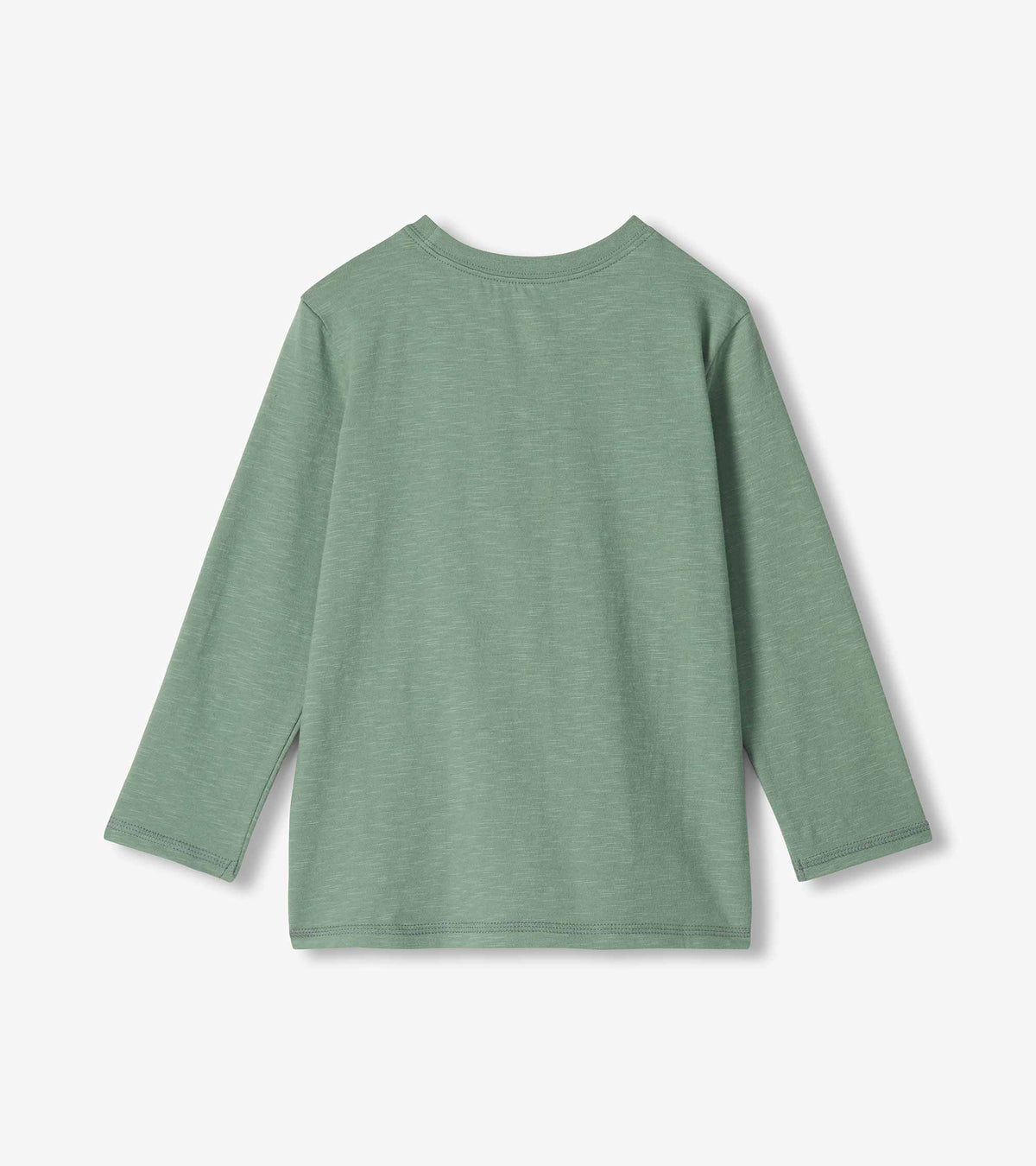 Back view of sage green boys long-sleeve T-shirt with plain solid design