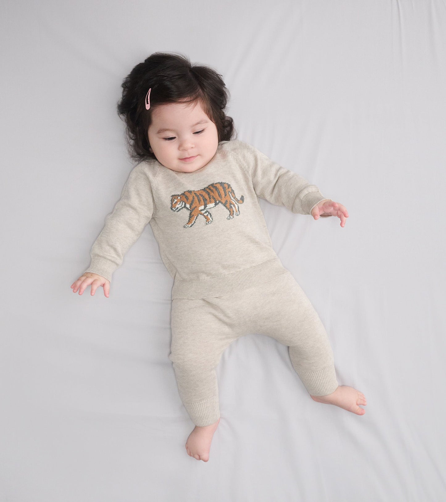 Light gray pullover sweater and matching pants featuring an embroidered tiger design, suitable for baby boys.