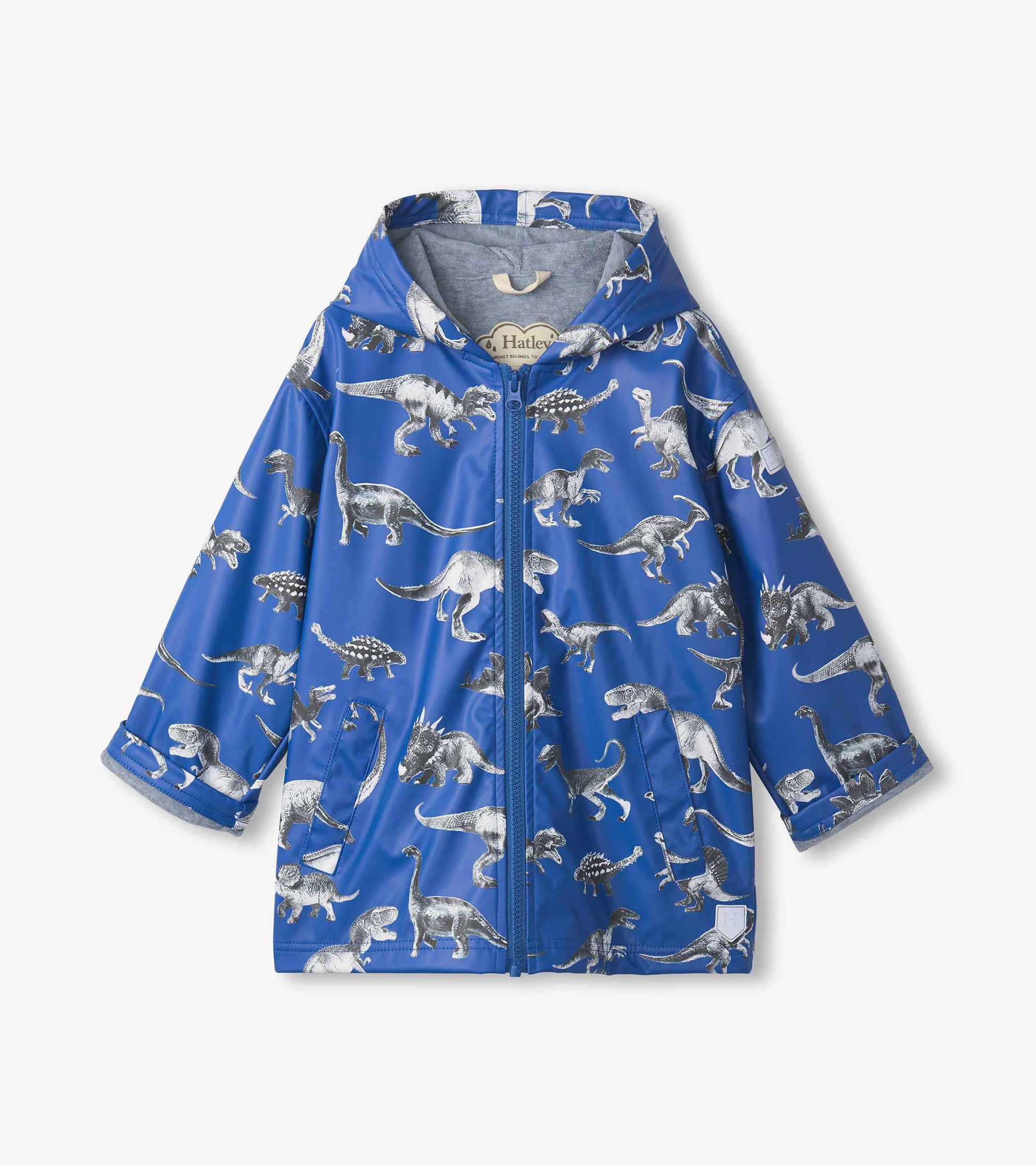Blue zip-up rain jacket featuring a dinosaur print, with a hood and front pockets.
