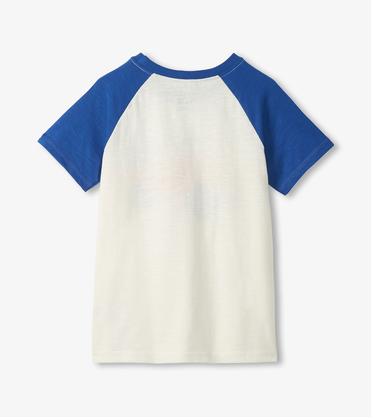 White and blue raglan short-sleeve cotton T-shirt, front view