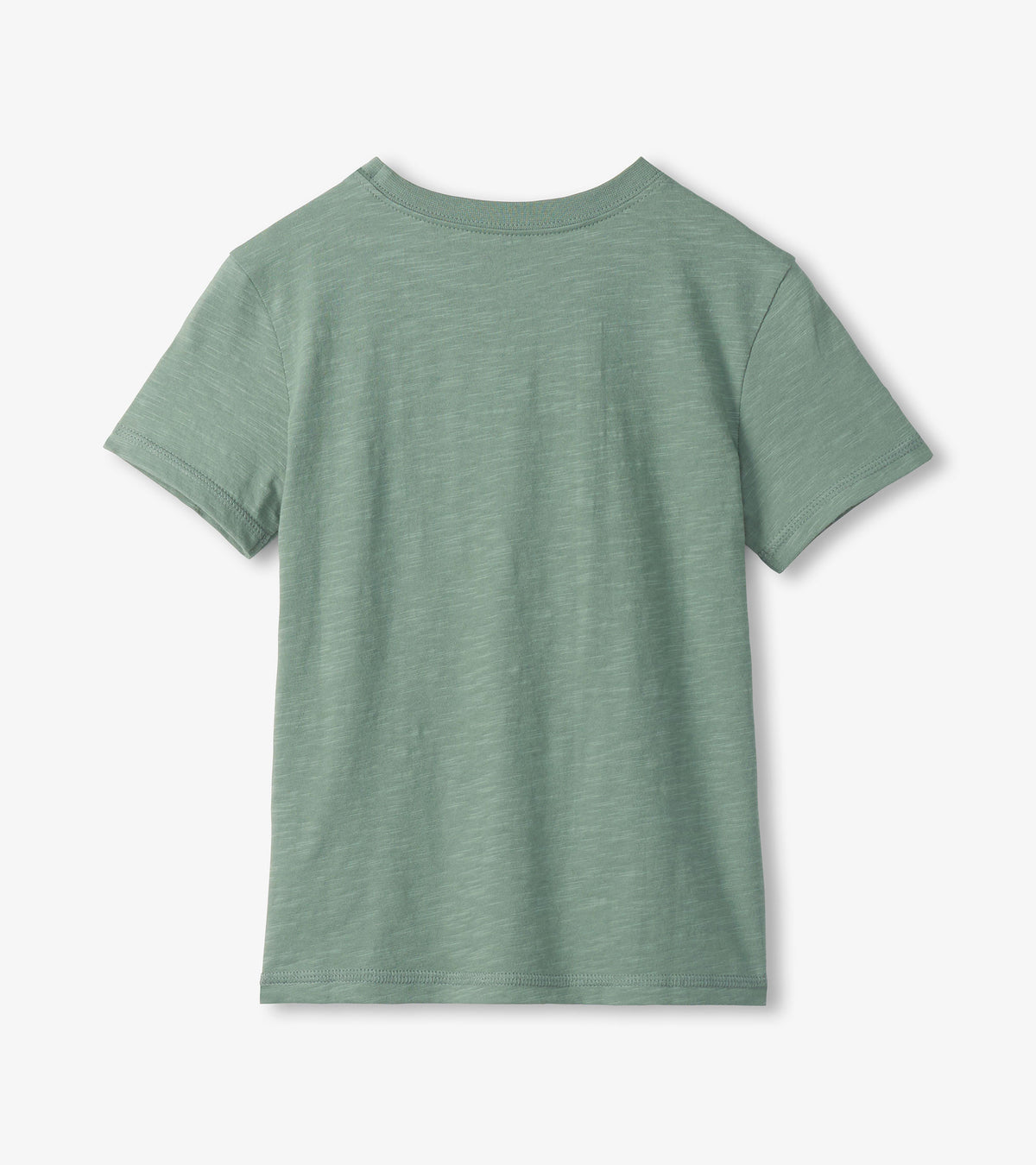 Back view of sage green short sleeve boys tee