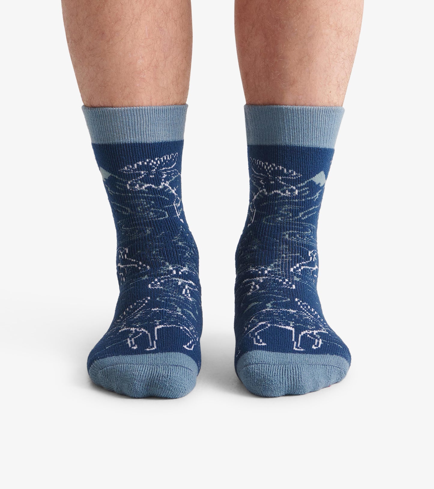 Blue Moose Cozy Socks