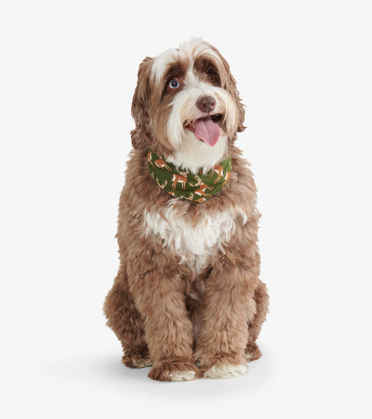 Reversible dog bandana in green with a deer pattern, worn by a fluffy brown dog, sitting and looking at the camera.