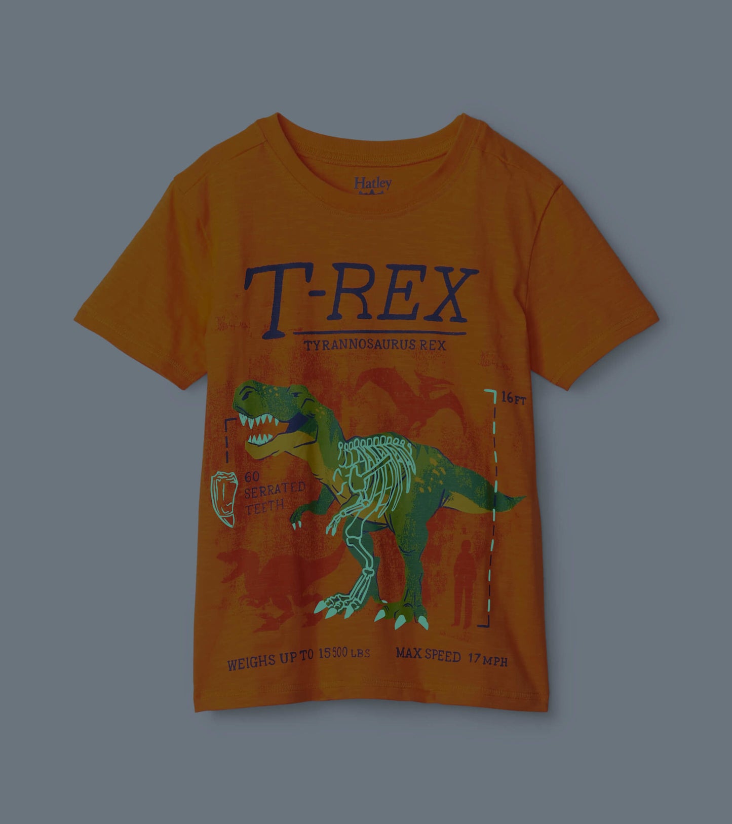 T-Rex Glow In The Dark Graphic Tee