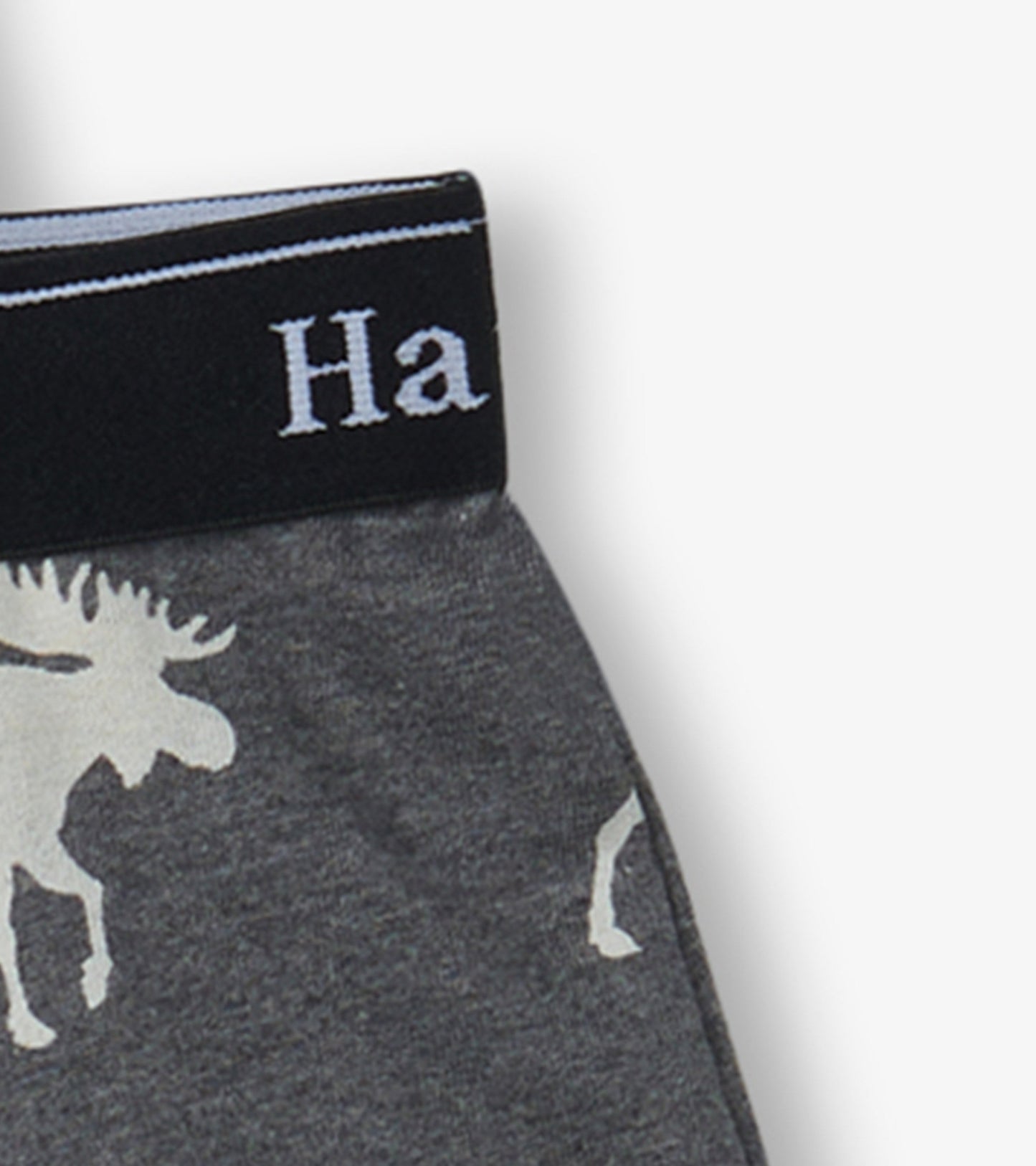 Gray boxer briefs featuring animal silhouettes and a black waistband. Suitable for boys, available in multiple sizes.