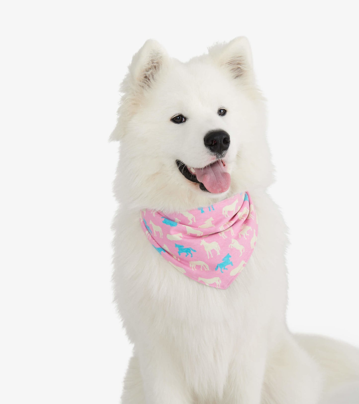 Reversible dog bandana in pink with colorful dog prints, worn around the neck of a white fluffy dog.