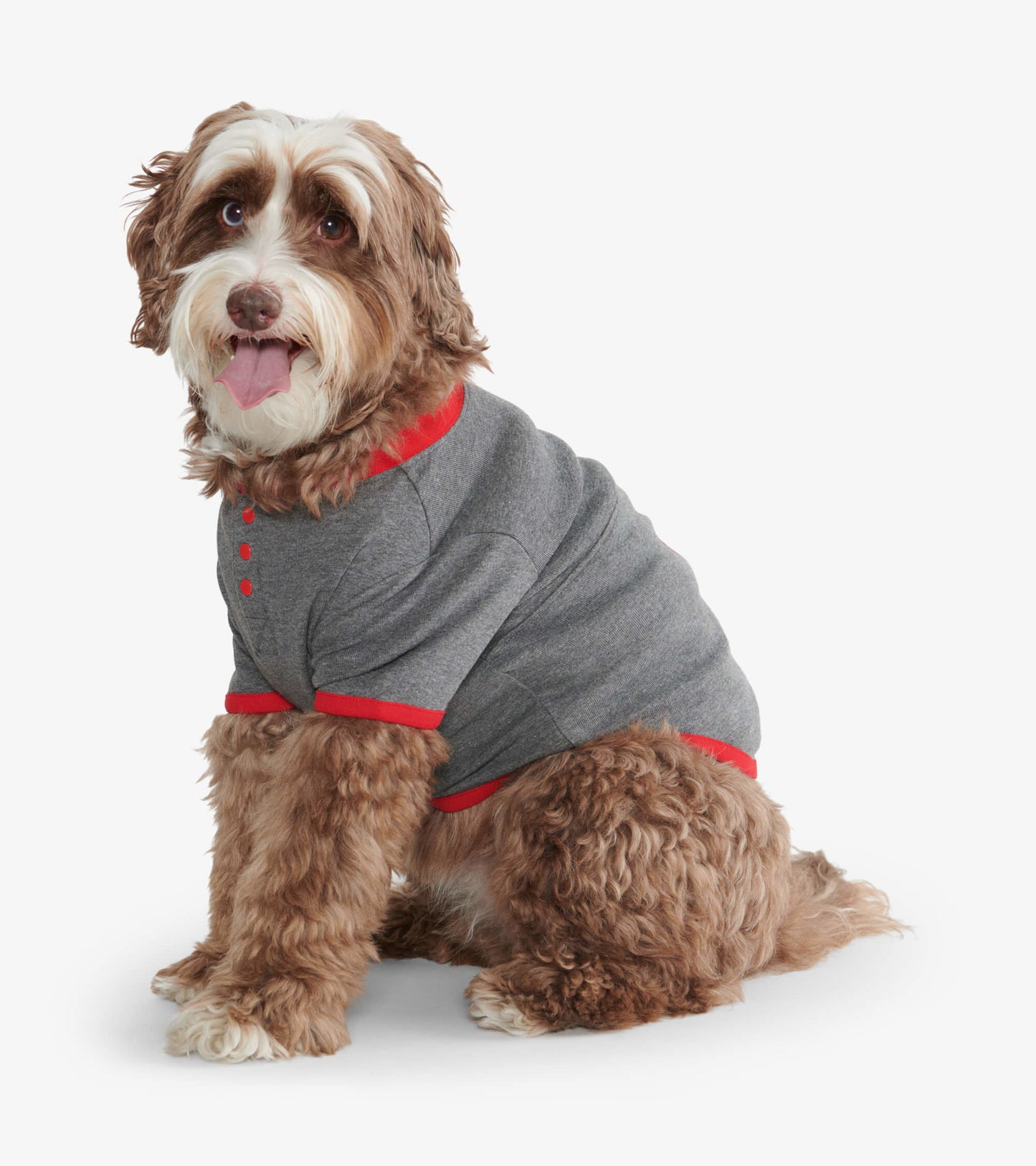 Gray dog tee with red accents, featuring a collar and buttons, worn by a fluffy brown dog sitting.