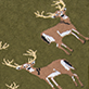 View Buck A Beer Men's Beer Can Socks - Two brown deer with white spots on a green background with small beige branches