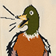 View Men's Shut The Duck Up Beer Can Socks - Cartoon bird with an open beak and motion lines on a beige background
