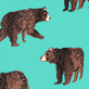 View Women's Brown Bears Cotton Pajama Shorts - Three spotted big cats on a turquoise background