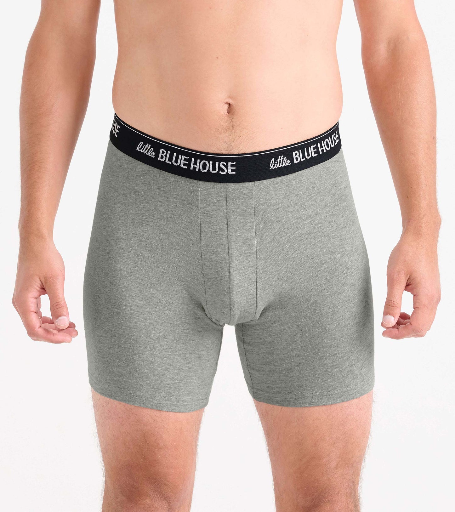 Gray men’s boxer briefs with a black logo waistband, front view on a model