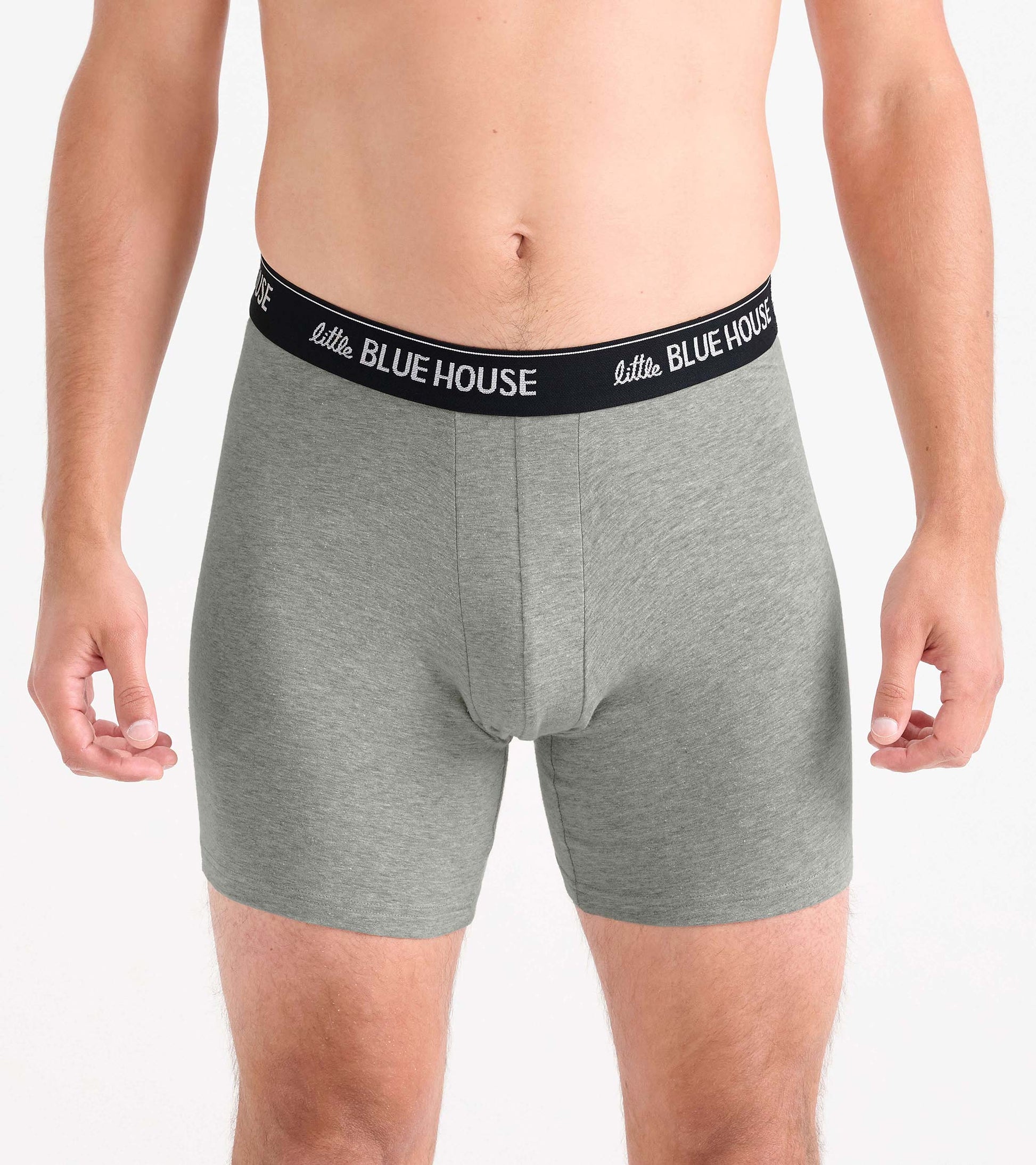Gray men’s boxer briefs with a black logo waistband, front view on a model