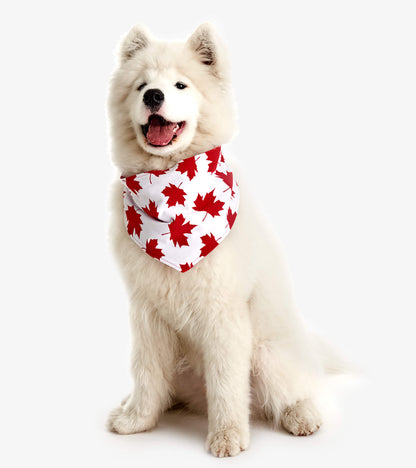 Dog Bandana - Red Maple Leaf