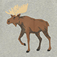 View Wildlife Baby Bodysuit & Hat - Brown moose walking left with tan antlers on a light textured background