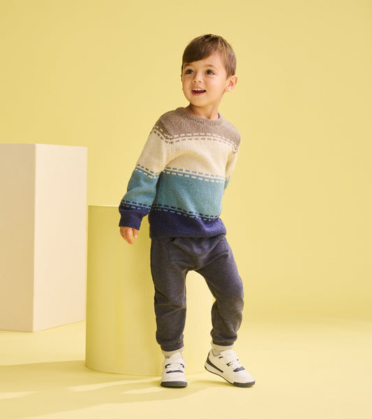 Baby & Toddler Boys Blue Combo Crew Neck Knit Sweater