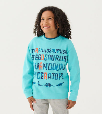 Boys Dinosaur Roar Sweatshirt