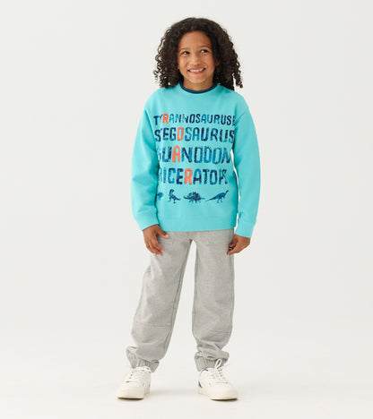 Boys Dinosaur Roar Sweatshirt