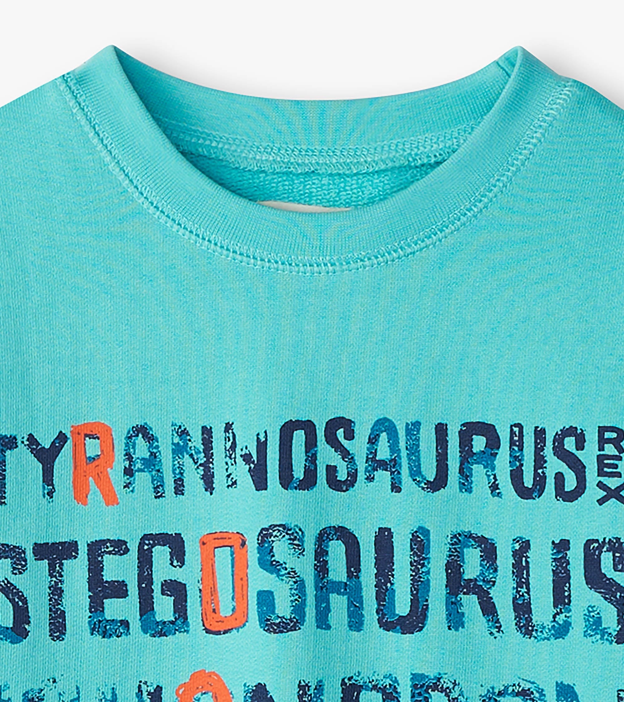 Boys Dinosaur Roar Sweatshirt