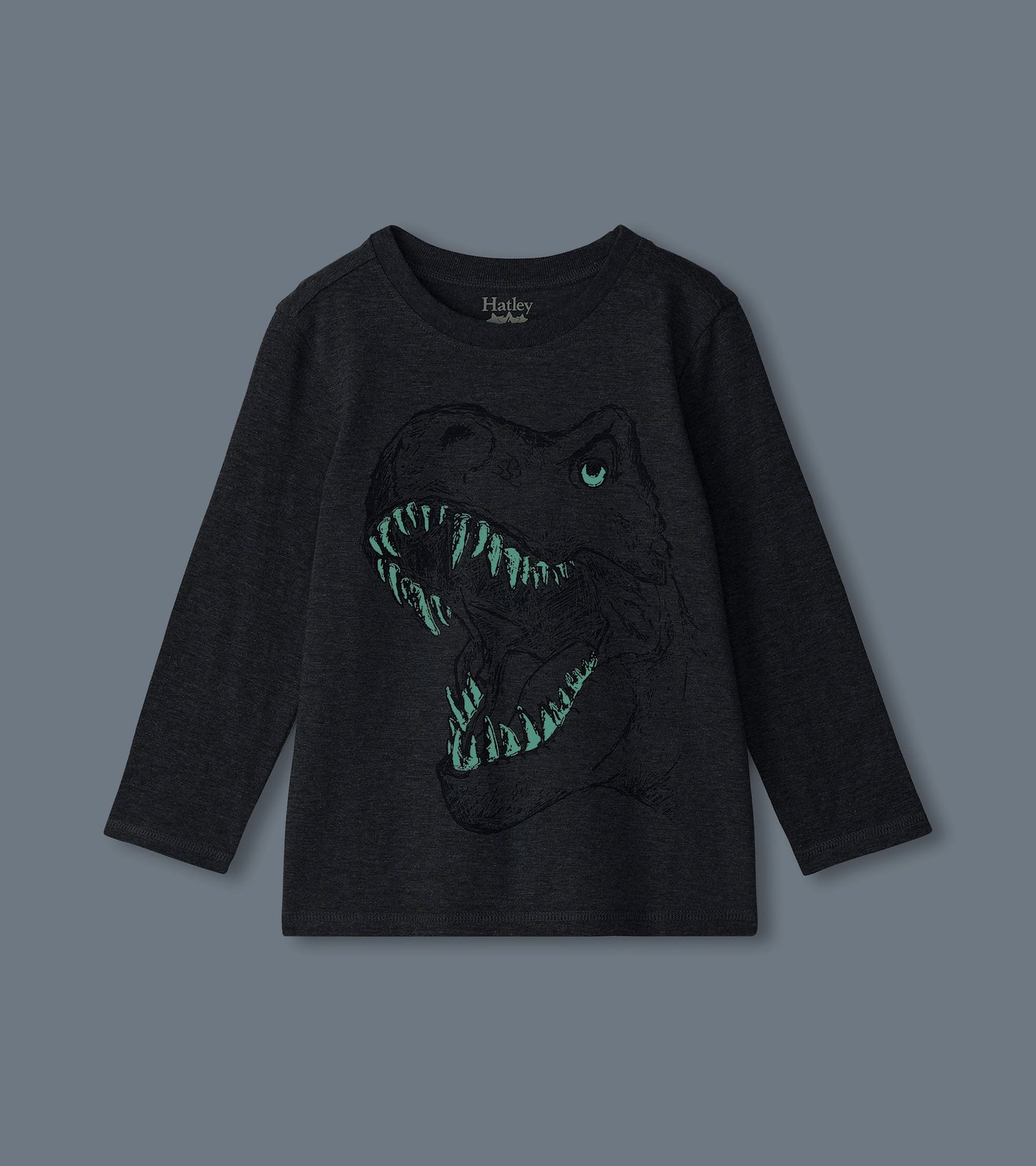 Boys T-Rex Glow in the Dark Long Sleeve T-Shirt