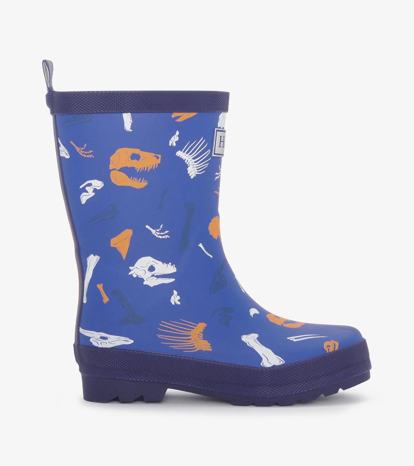 Boys Dino Fossils Matte Rain Boots