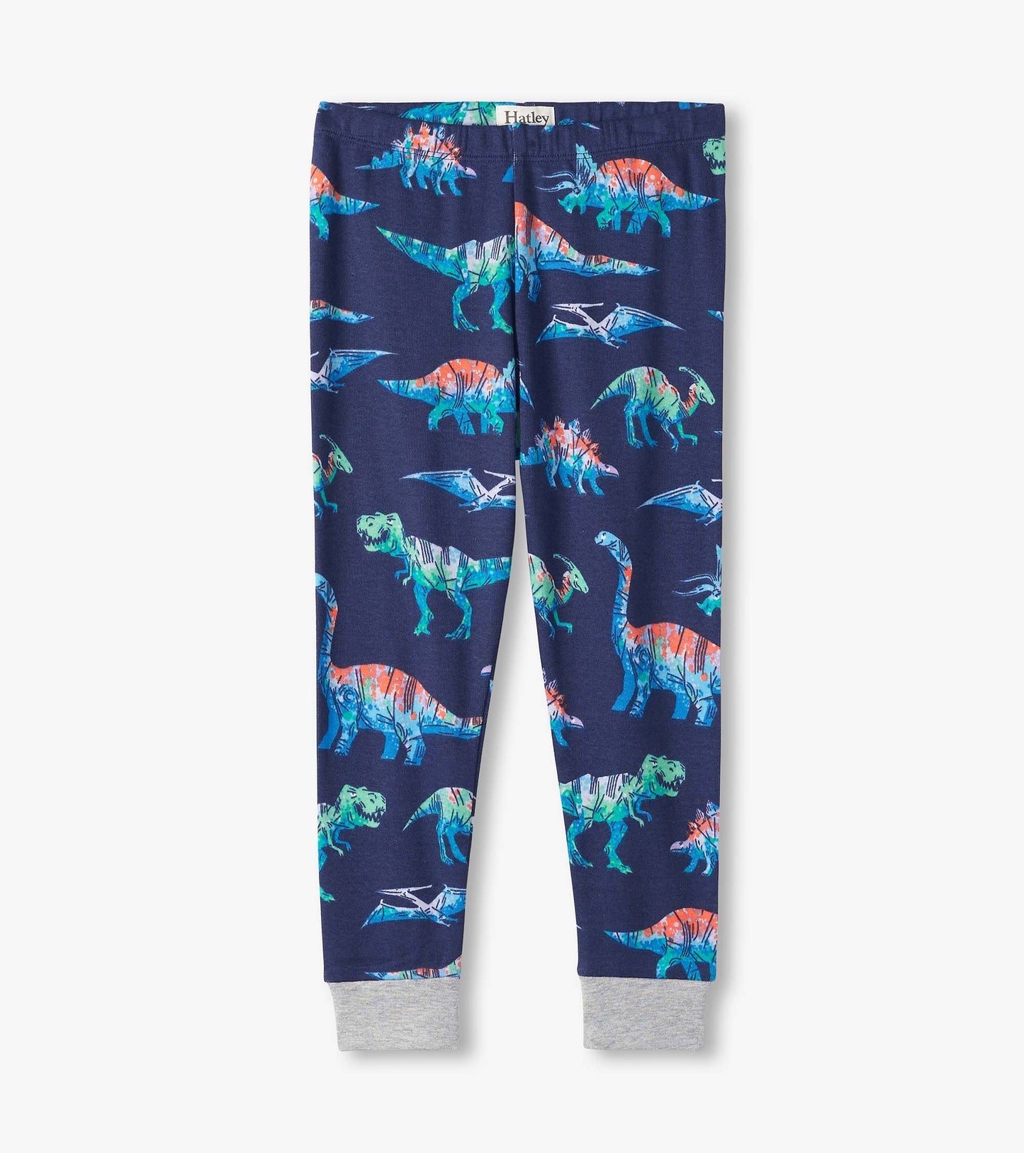 Boys Blue Dinos Organic Cotton Pajama Set