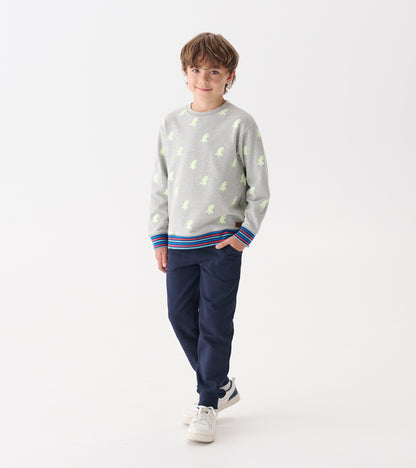 Boys Monster Pullover Sweatshirt