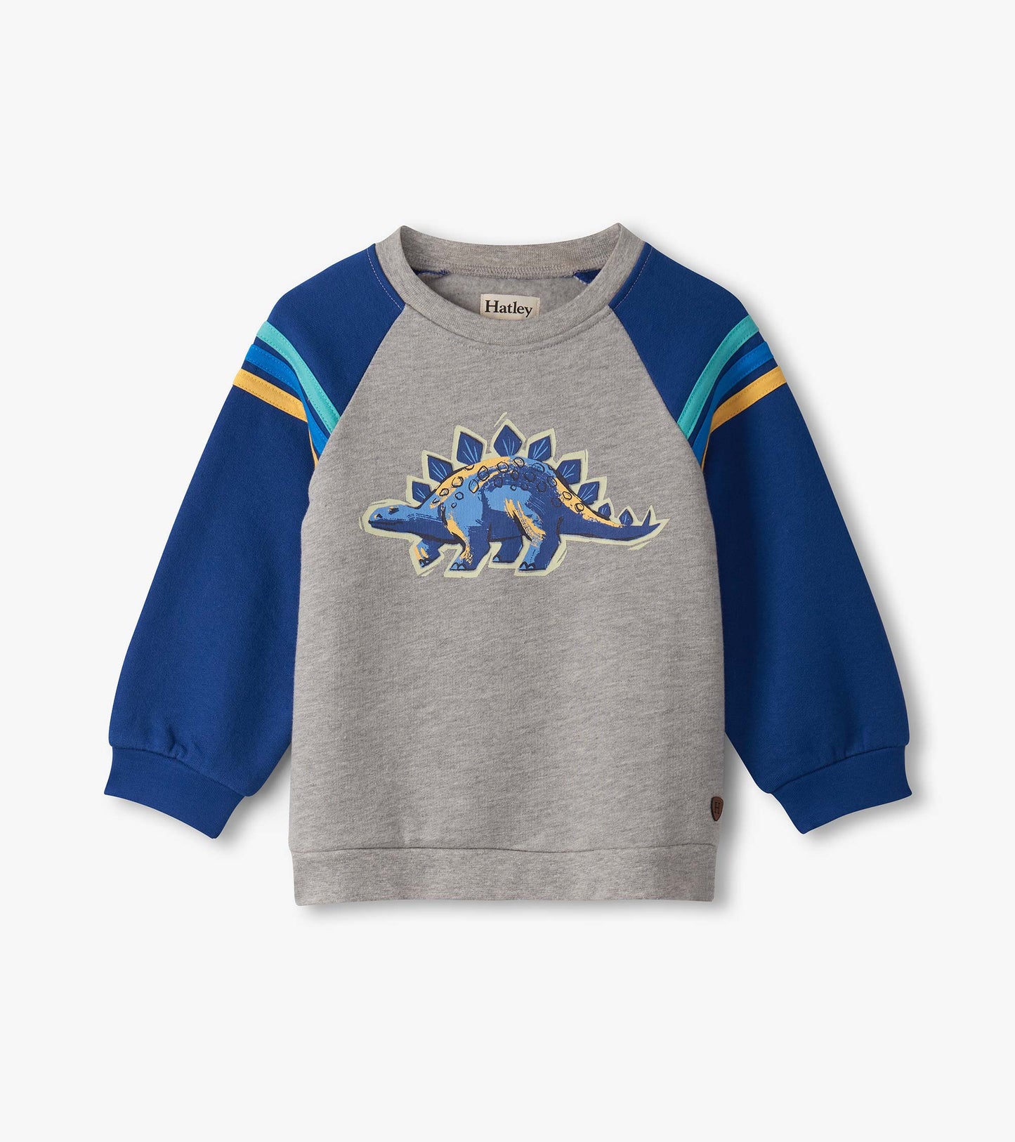 Gray pullover sweatshirt with blue sleeves and a dinosaur graphic, designed for baby and toddler boys.