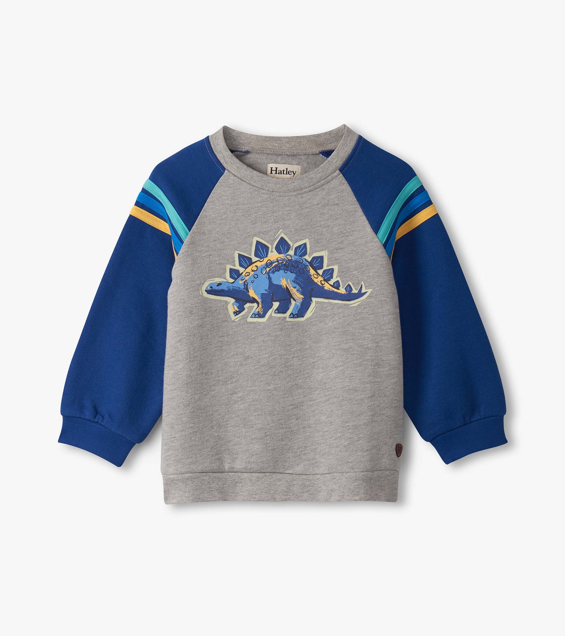 Gray pullover sweatshirt with blue sleeves and a dinosaur graphic, designed for baby and toddler boys.