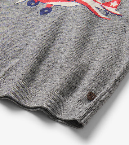 Baby & Toddler Boys Vintage Plane Crew Neck Sweater