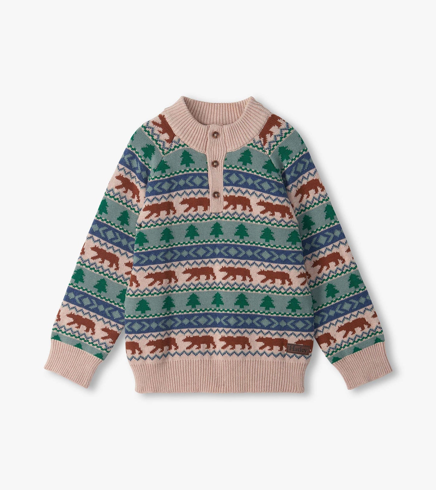 Boys Big Bear Fair Isle Mock Neck Sweater
