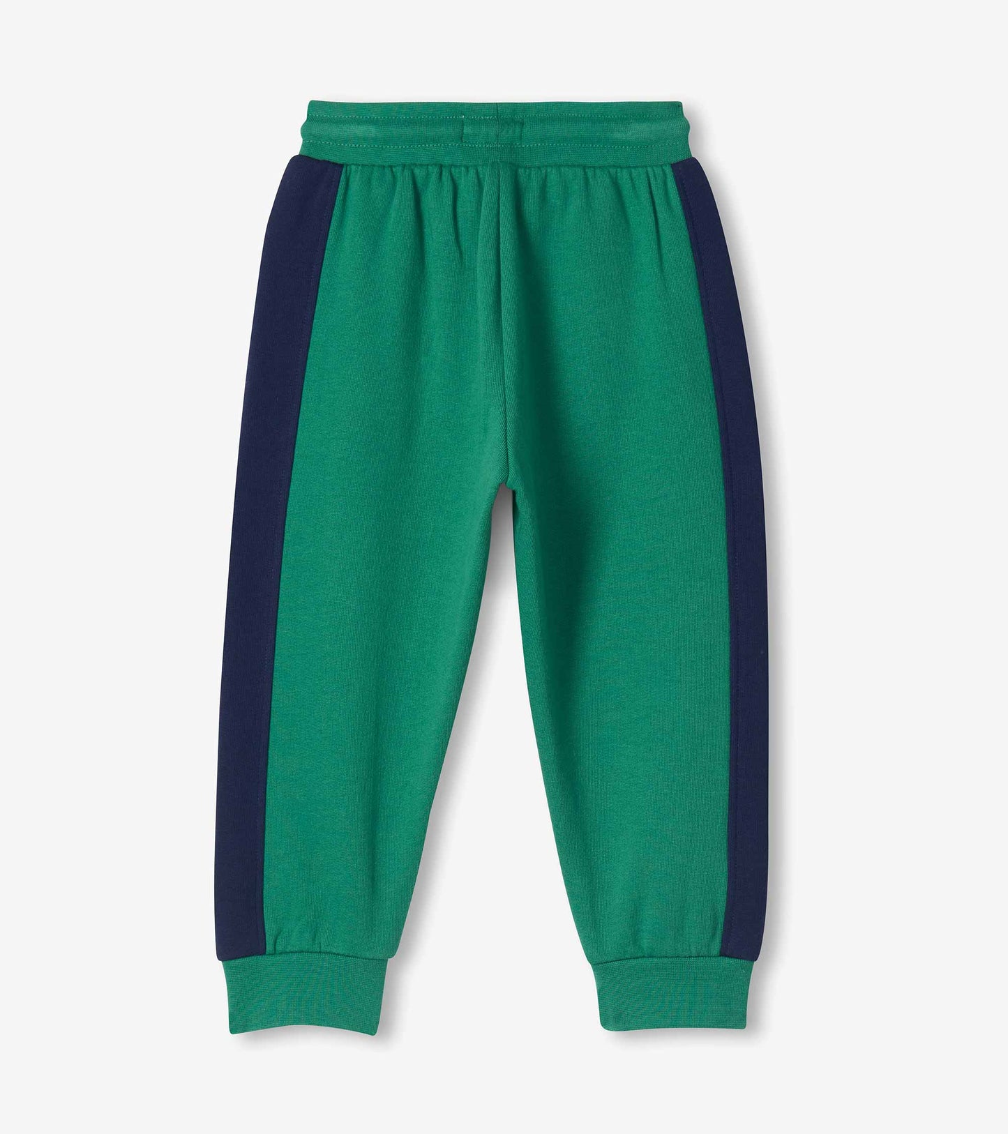 Baby & Toddler Boys Bottle Green Track Pants