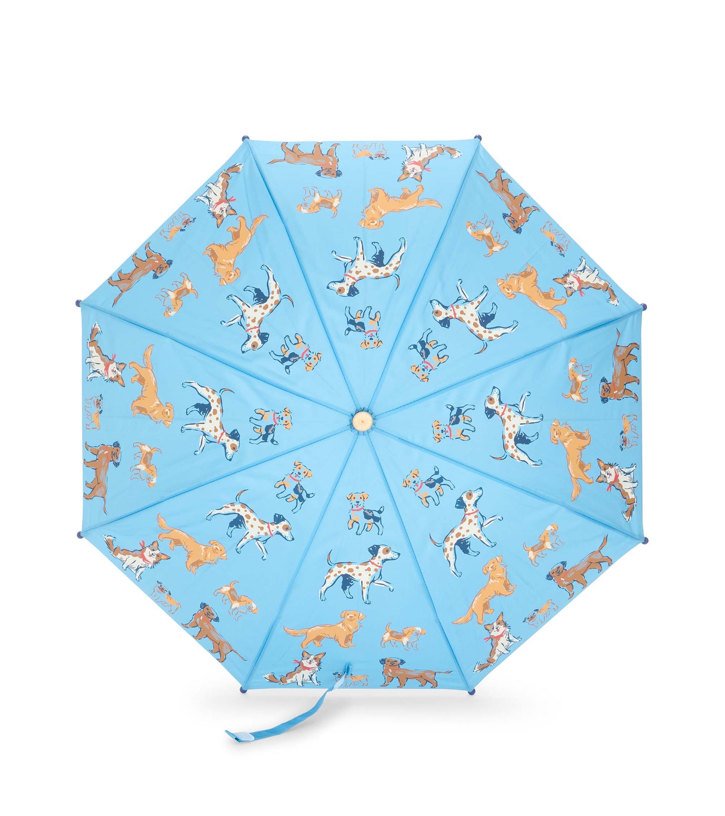 Top view of open blue umbrella with playful dog print across all panels