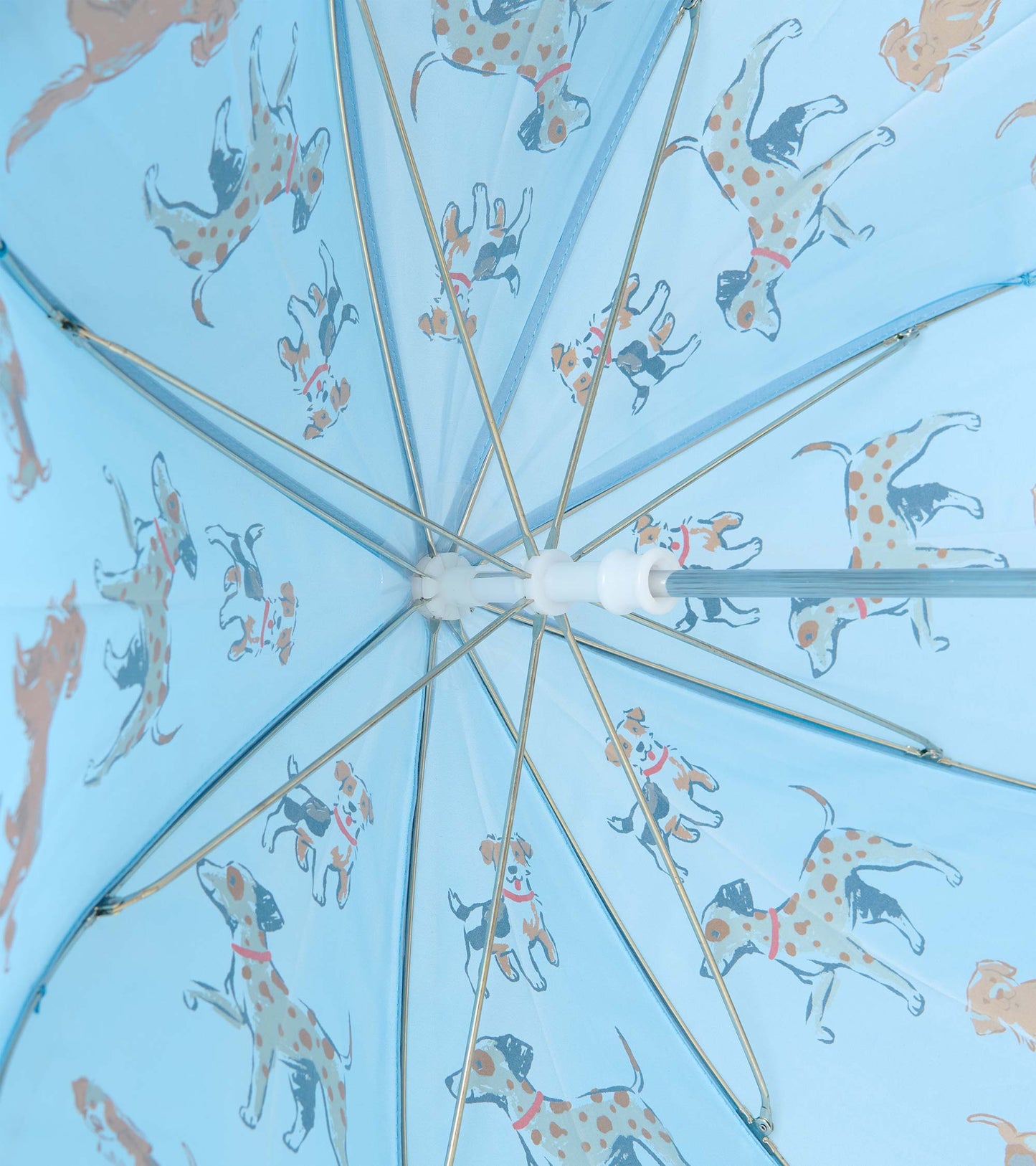 Interior view of blue umbrella showing metal ribs and dog print on the canopy