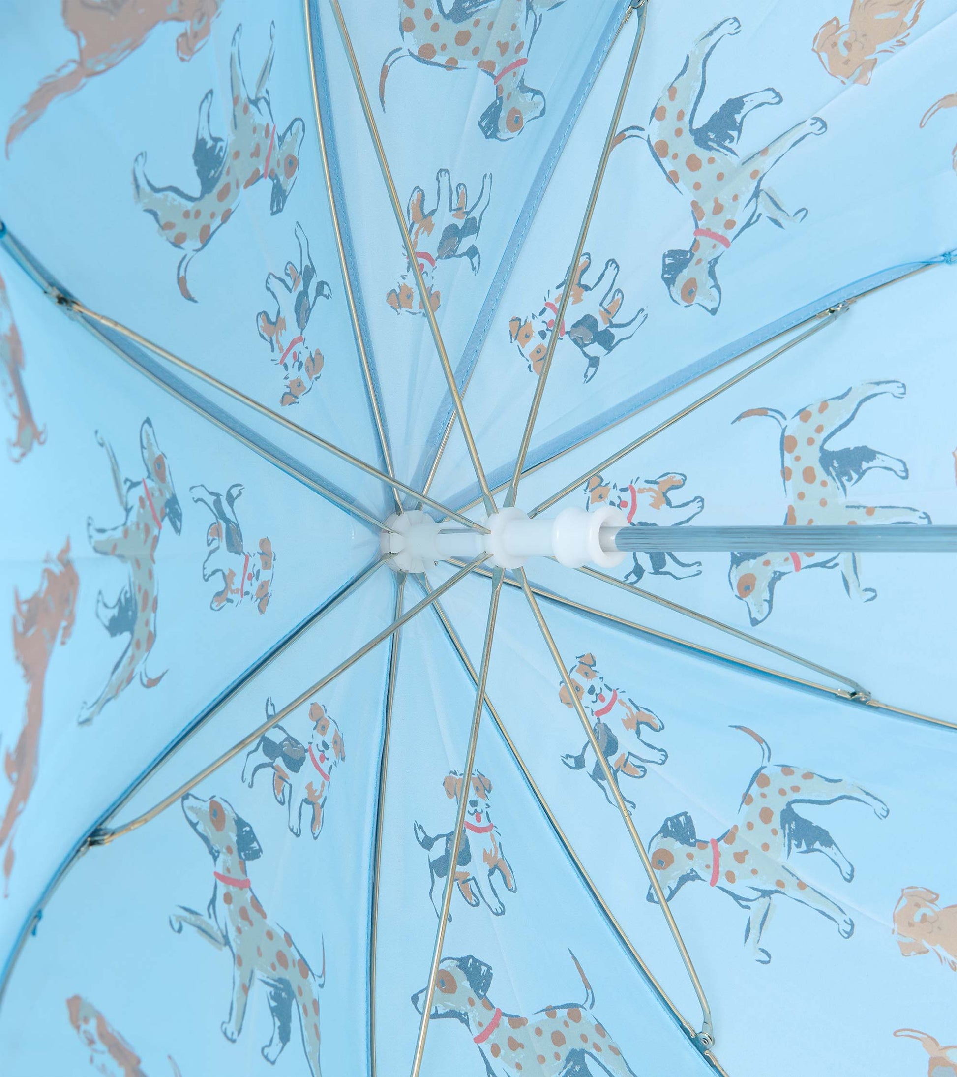 Interior view of blue umbrella showing metal ribs and dog print on the canopy
