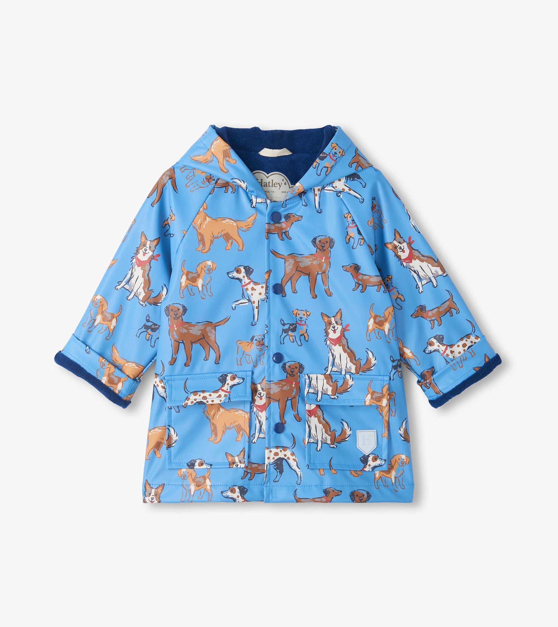 Front view of blue snap rain coat with hood, dog print, flap pockets, and dark blue lining