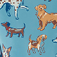 View Toddler Boys Blue Little Pups Rain Boots Blue swatch with scattered cartoon dogs