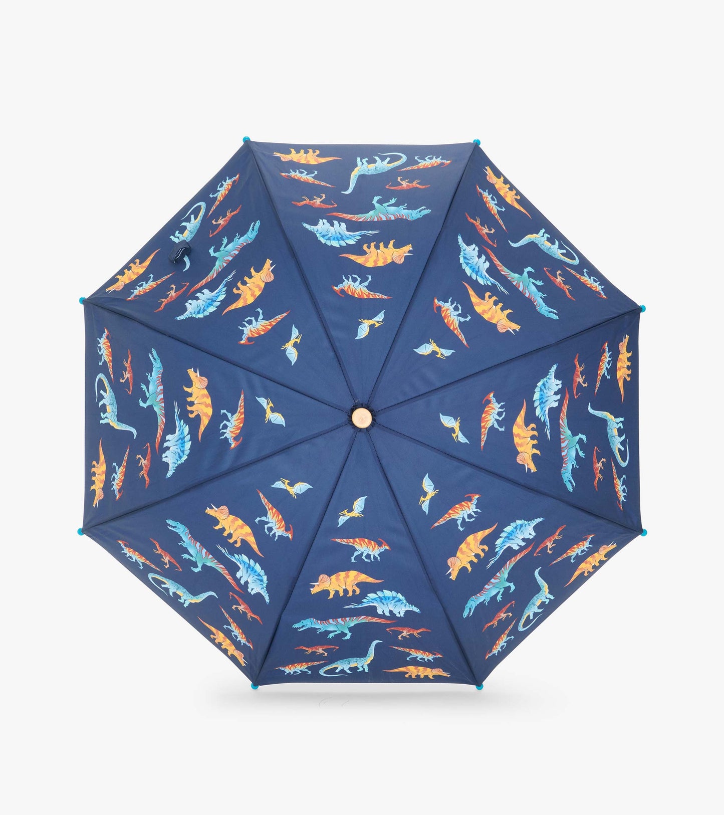 Top view of navy umbrella canopy with colorful dinosaur and flying reptile print