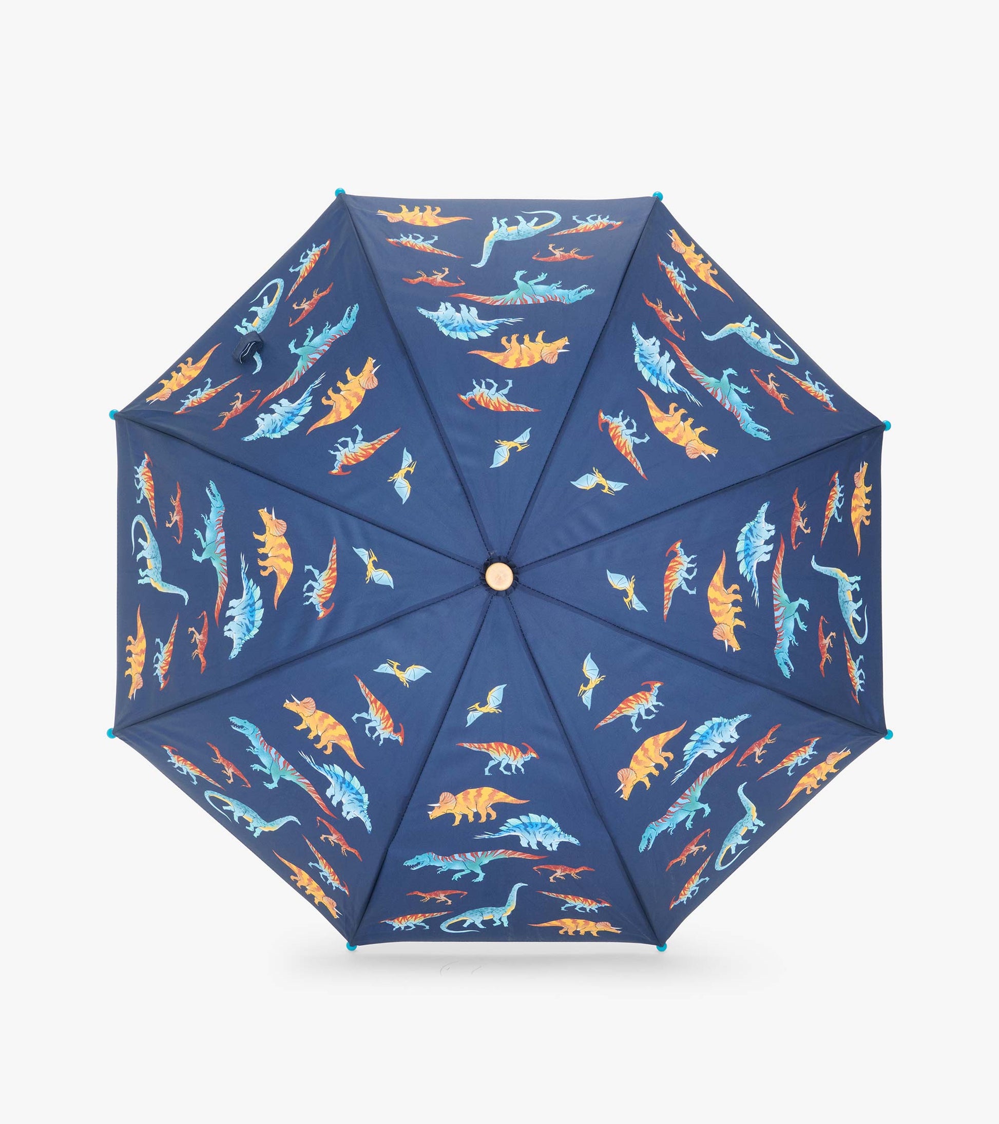 Top view of navy umbrella canopy with colorful dinosaur and flying reptile print