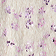 View Girls Pink Sequins on Cream Feathers Pullover Cream feather-like pattern with pink and purple sequins