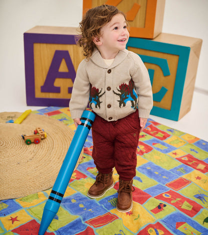 Baby & Toddler Boys Dino Roar Shawl Collar Cardigan