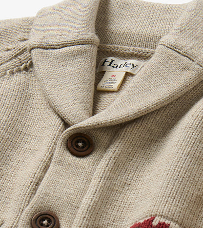 Baby & Toddler Boys Dino Roar Shawl Collar Cardigan