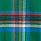 View Boys Fresh Fall Plaid Button Down Shirt Green plaid with blue, orange, white, and black stripes